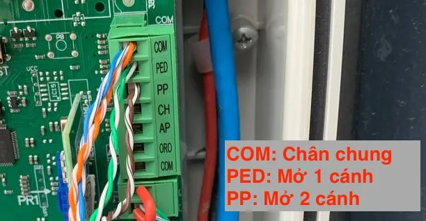 Đấu dây điều khiển cổng